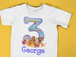 Lion King Friends Birthday Shirt